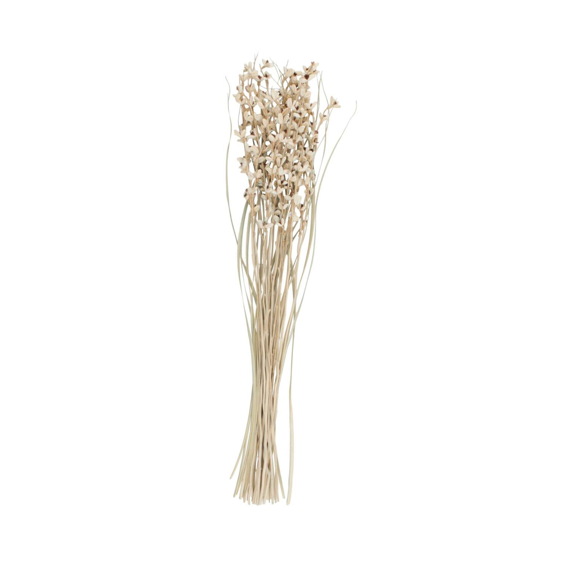 41" Cream Dried Natural Foliage Bouquet with Brown Stems